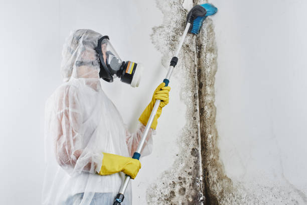 Water damage restoration insurance claims