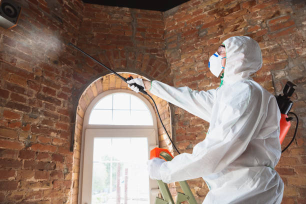 Water damage restoration mold remediation in Alderson, WV